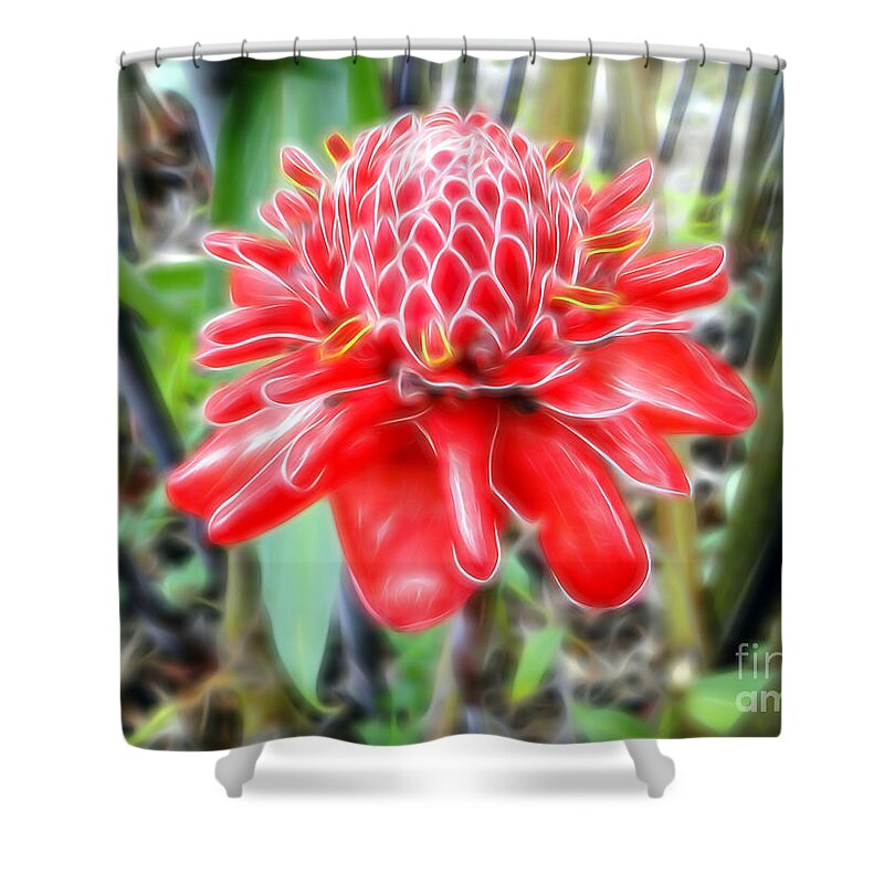 Flower Shower Curtain featuring the photograph Shimmering Red Ginger Lily by Sue Melvin