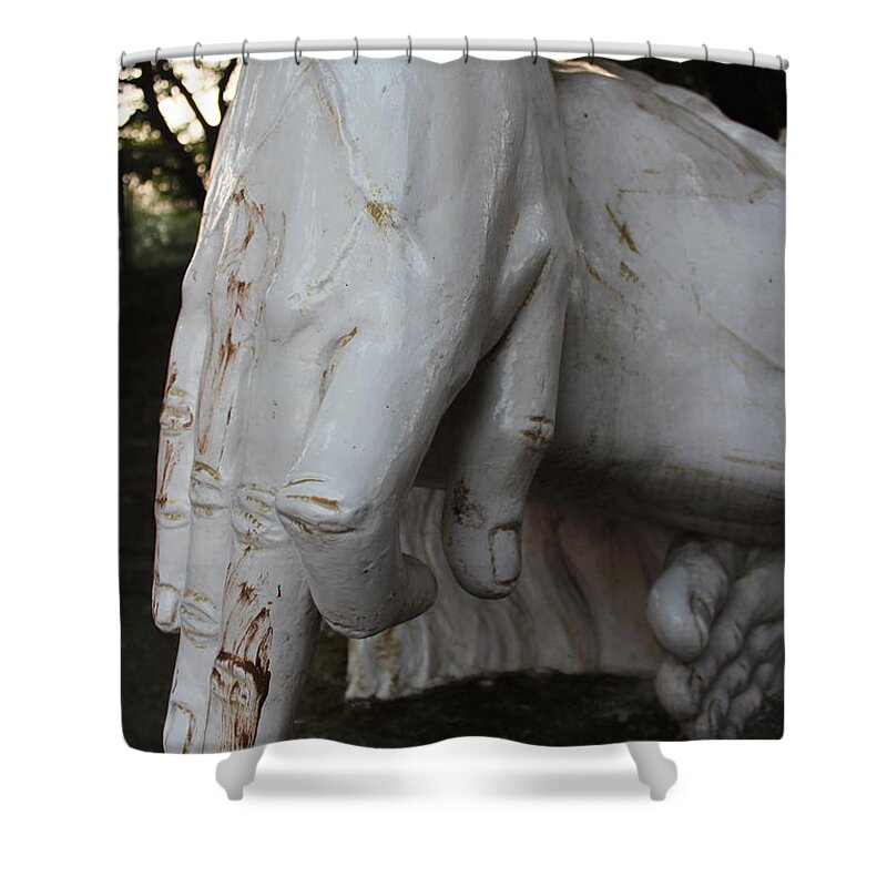 Shiva Shower Curtain featuring the photograph Shiva's Hand, Rishikesh by Jennifer Mazzucco
