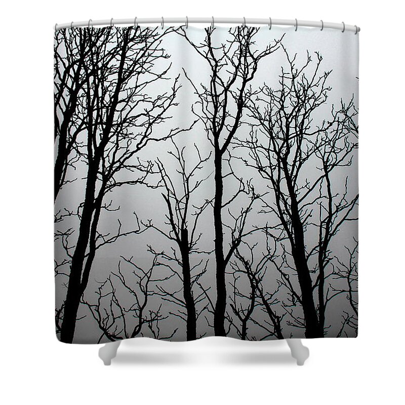 Shiver Me Timbers Shower Curtain featuring the photograph Shiver Me Timbers by Edward Smith
