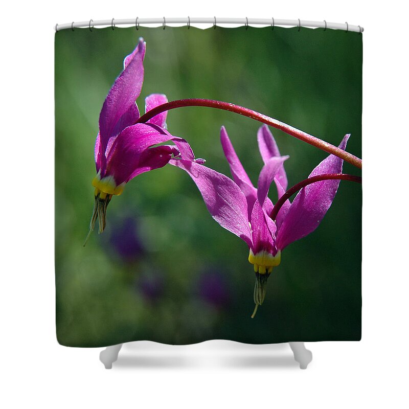 Shooting Stars Shower Curtain featuring the photograph Shooting Stars by Vivian Christopher
