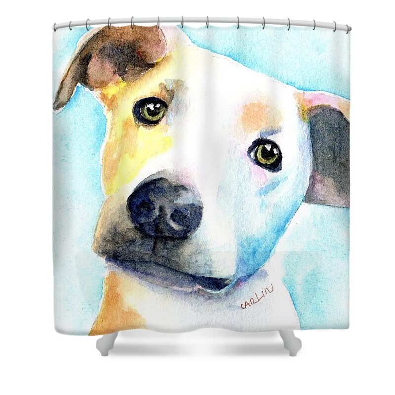 Dog Shower Curtain featuring the painting Short Hair White and Brown Dog by Carlin Blahnik CarlinArtWatercolor