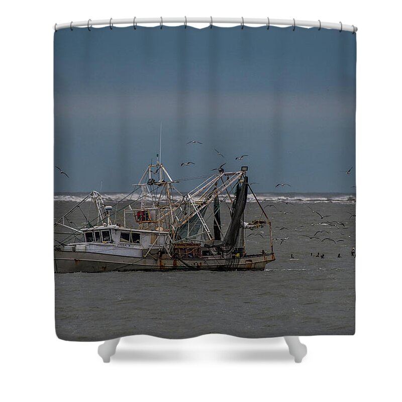 Fresh Shrimp Shower Curtain featuring the photograph Shrimpin by Paul Freidlund