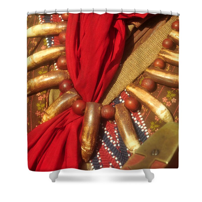 Seminole Indians Shower Curtain featuring the photograph si1 by David Lee Thompson