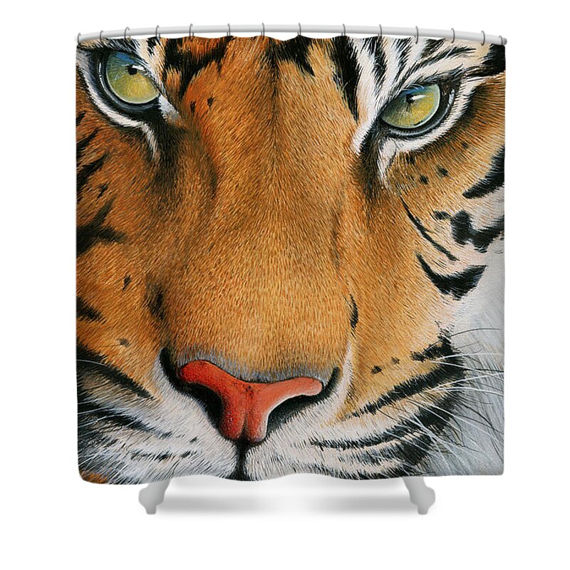 Tiger Shower Curtain featuring the painting Siberian Gold by Mike Brown