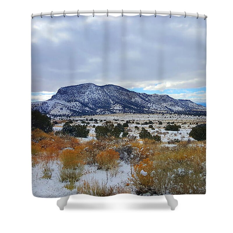 Southwest Landscape Shower Curtain featuring the photograph Side of the road by Robert WK Clark
