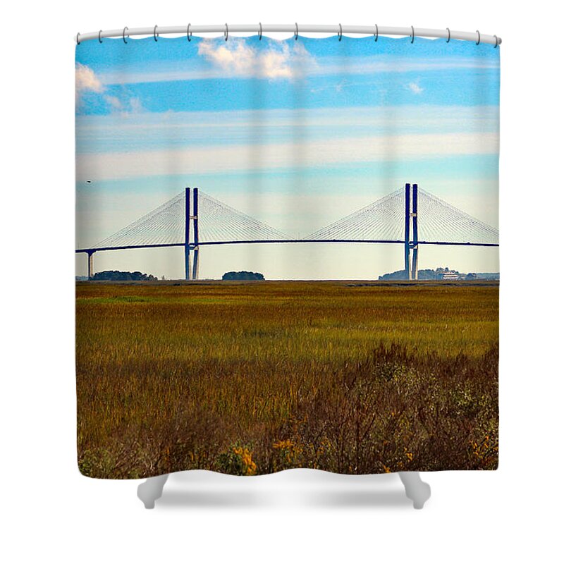 Nature Shower Curtain featuring the photograph Sidney Lanier Bridge by DB Hayes