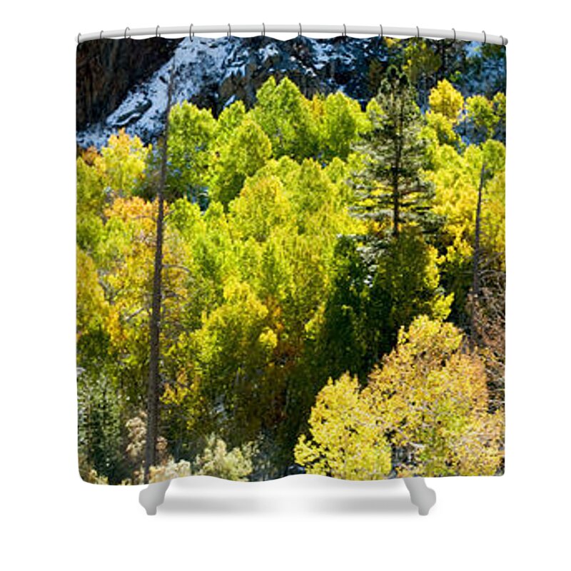 California Shower Curtain featuring the photograph Sierra Fall Forest by Norman Andrus