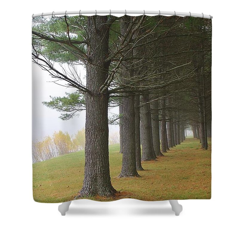 Woodland Shower Curtain featuring the photograph Silence in the Air by Bruce Bley