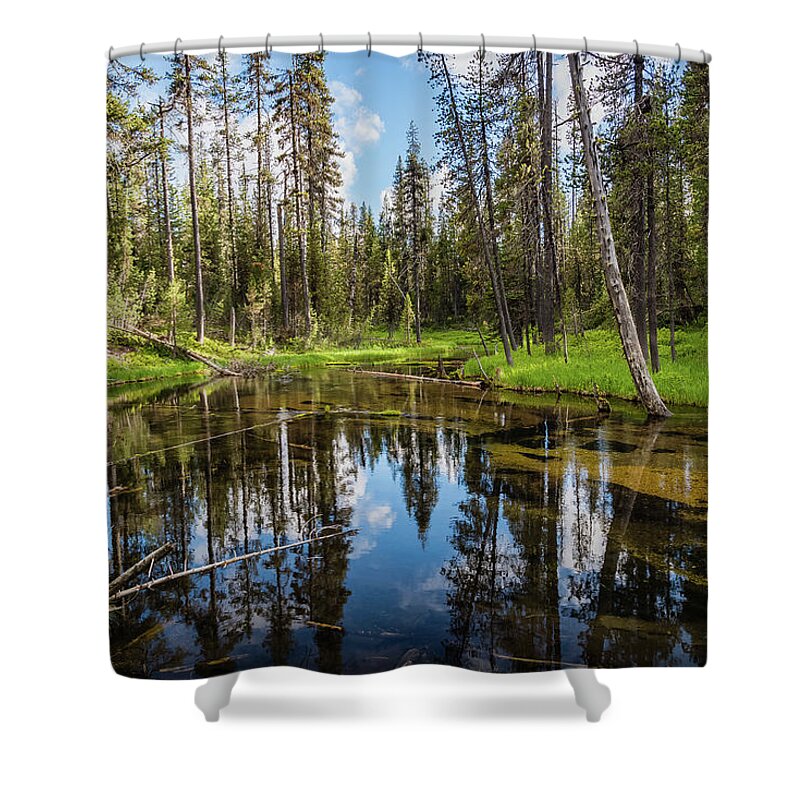 Silent Creek Shower Curtain featuring the photograph Silent Creek by Mike Ronnebeck