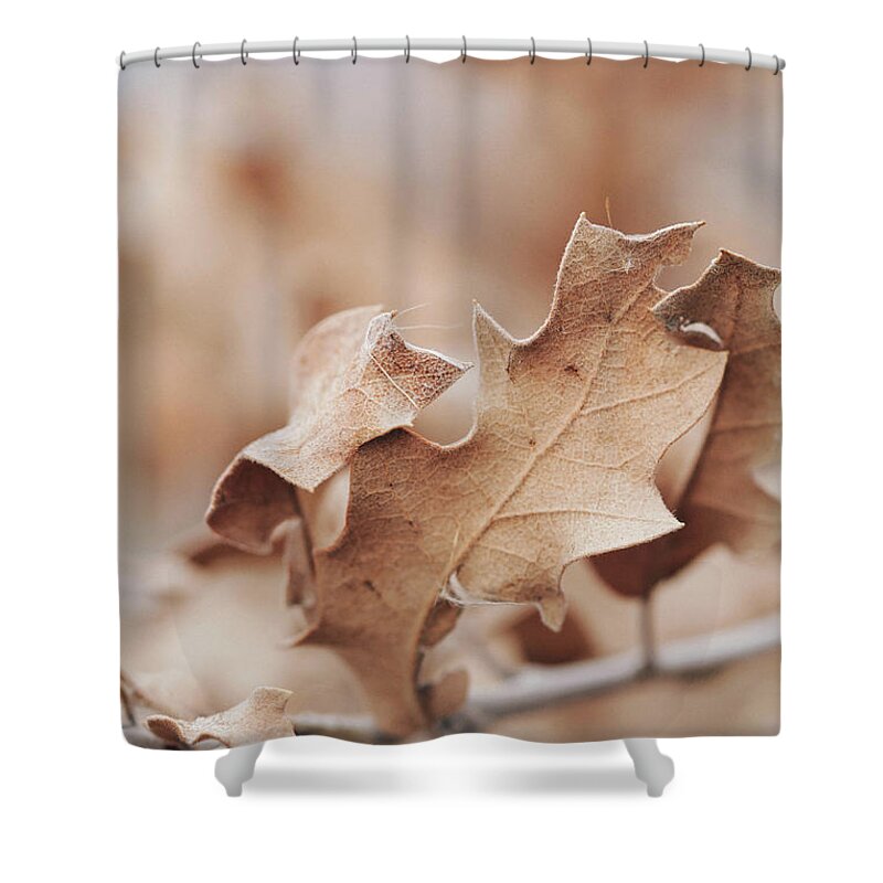 Sky Is The Limit Images Shower Curtain featuring the photograph Silent Whispers by Becca Buecher