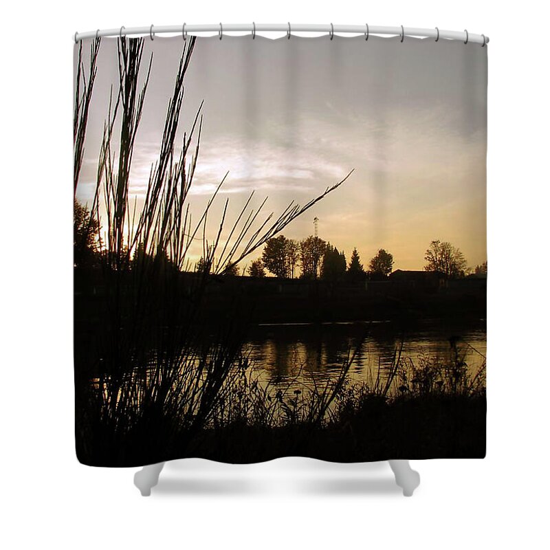 Nature Shower Curtain featuring the photograph Silhouetted Twilight by Jaeda DeWalt