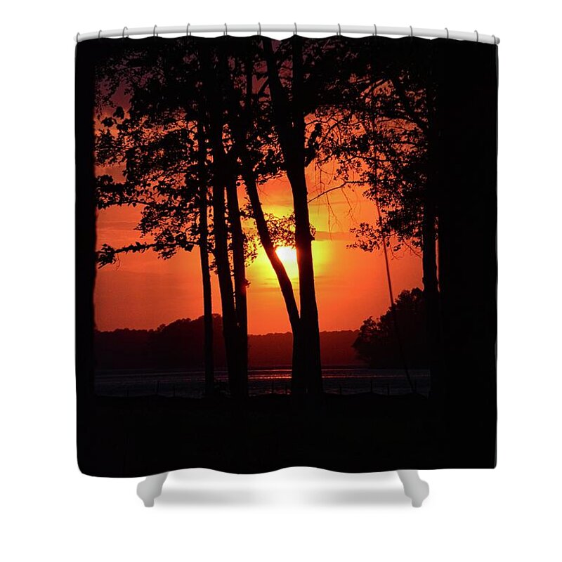 Silhouettes Shower Curtain featuring the photograph Silhouettes by Lisa Wooten