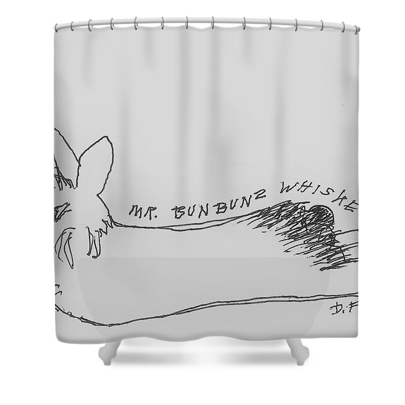 Rabbit Shower Curtain featuring the drawing Silly Sketch of Mr. Whiskers by Denise F Fulmer