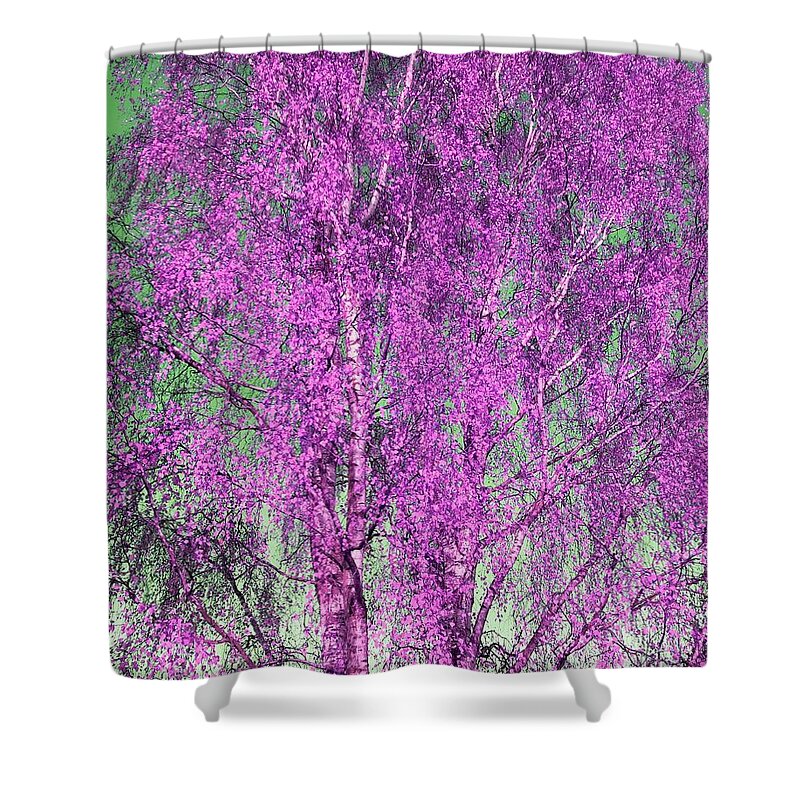 Silverbirch Shower Curtain featuring the photograph Silver Birch in Lilac by Rowena Tutty