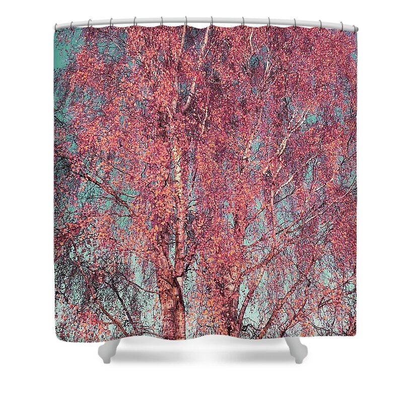Tree Shower Curtain featuring the photograph Silver Birch in Pink by Rowena Tutty