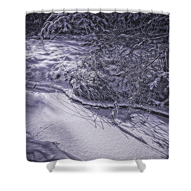 Winterscapes Shower Curtain featuring the photograph Silver Brook in Winter by Gary Shepard
