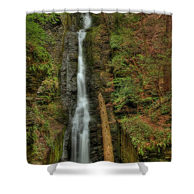 Silver Thread Shower Curtain featuring the photograph Silver Thread by Evelina Kremsdorf