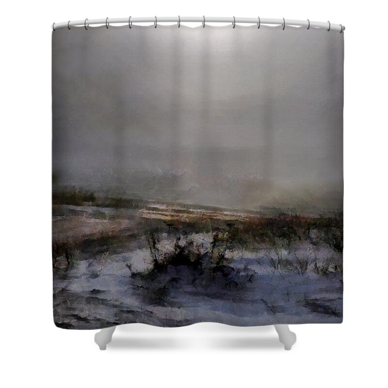 Landscape Shower Curtain featuring the painting Silvered Shore by RC DeWinter