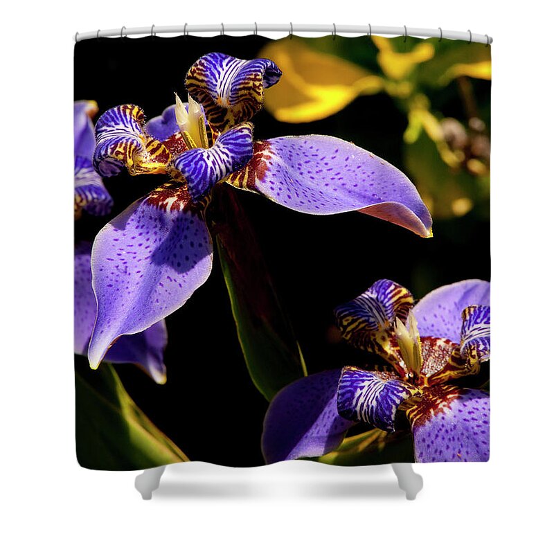 Flower Shower Curtain featuring the photograph Simple Beauty III by Stephen Anderson