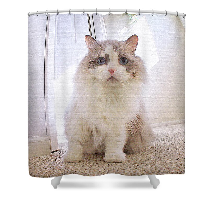 Ragamuffins Shower Curtain featuring the photograph Simply Beautiful by Geoff Crego