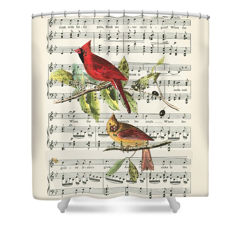 Music Shower Curtain featuring the drawing Singing cardinals, vintage sheet music by Delphimages Photo Creations