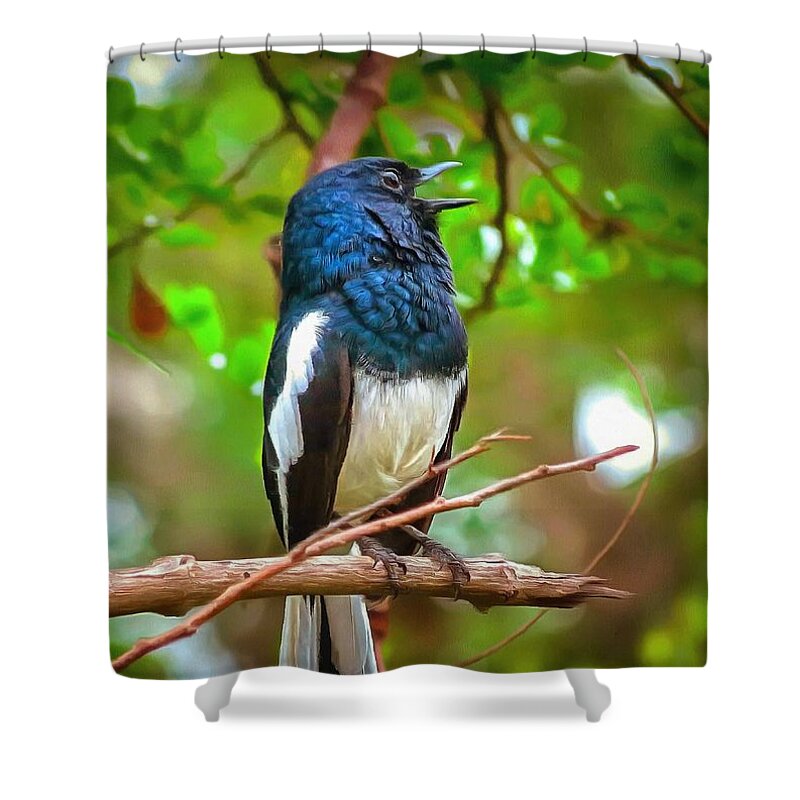 Bird Shower Curtain featuring the digital art Singing Ceylonese Robin-Magpie by Sarah Sever