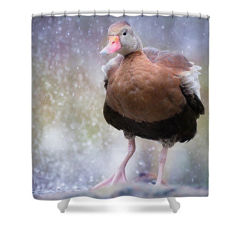 Photograph Shower Curtain featuring the photograph Singing in the Rain by Cindy Lark Hartman