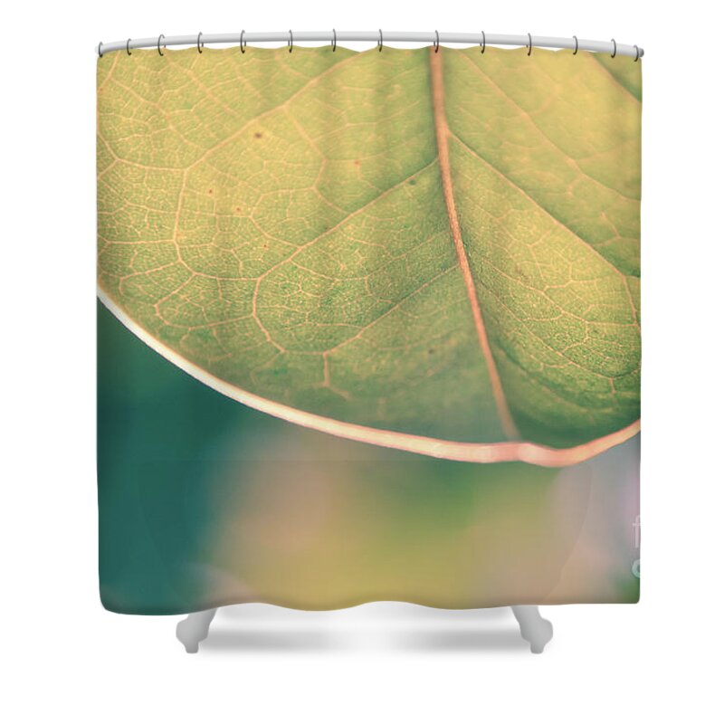 Macro Shower Curtain featuring the photograph Single Leaf by Andrea Anderegg