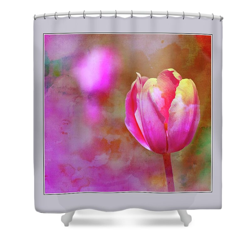 Landscape Shower Curtain featuring the photograph Single Tulip by Virginia Folkman