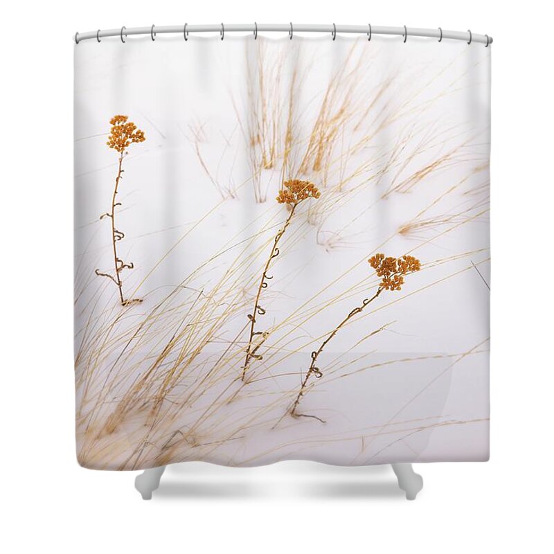 Winter Shower Curtain featuring the photograph Sisters by Allan Van Gasbeck