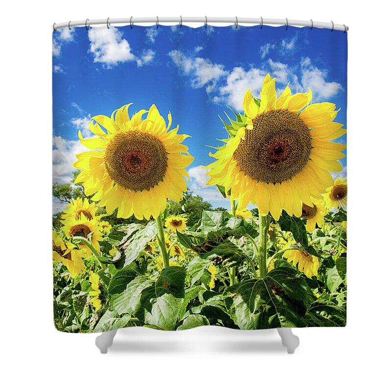 Farm Shower Curtain featuring the photograph Sisters by Greg Fortier