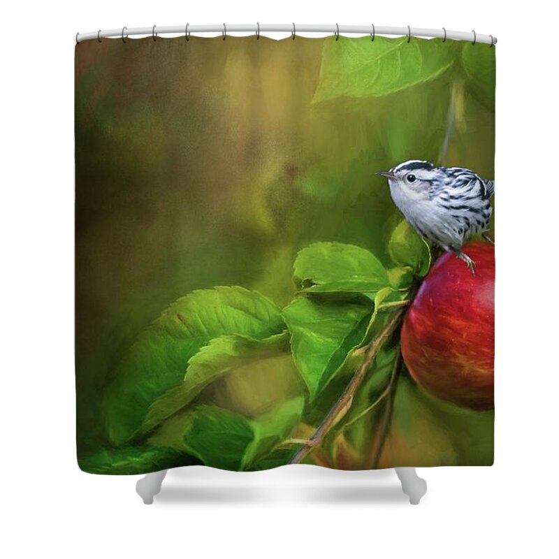 Black And White Warbler Shower Curtain featuring the photograph Sitting on an Apple by Eva Lechner