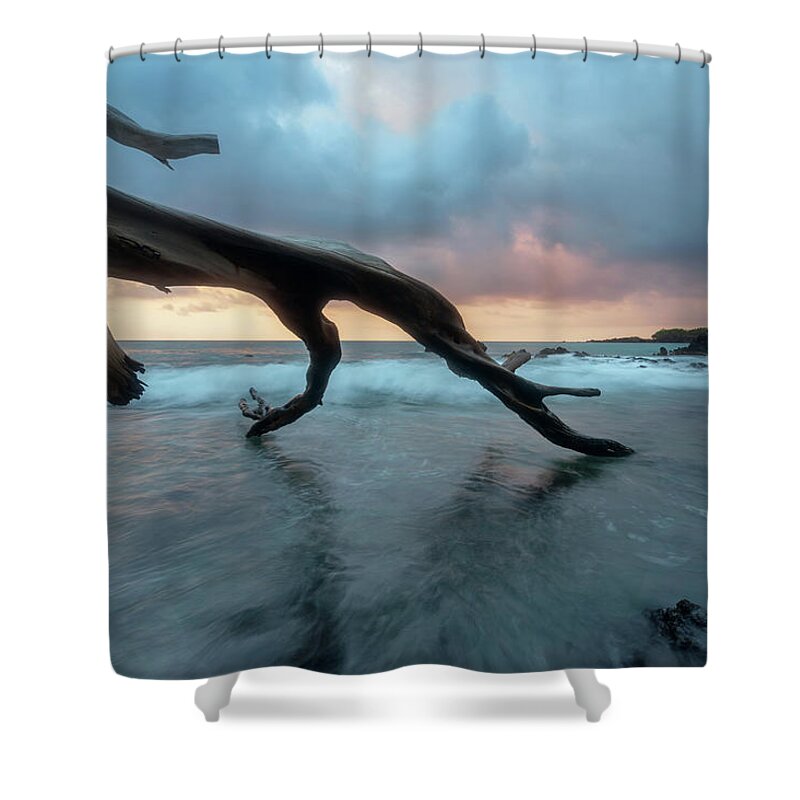 Hawaii Shower Curtain featuring the photograph Beach 69 by Christopher Johnson
