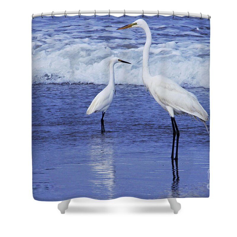 Great White Heron Shower Curtain featuring the photograph Sizing Things Up by Debby Pueschel