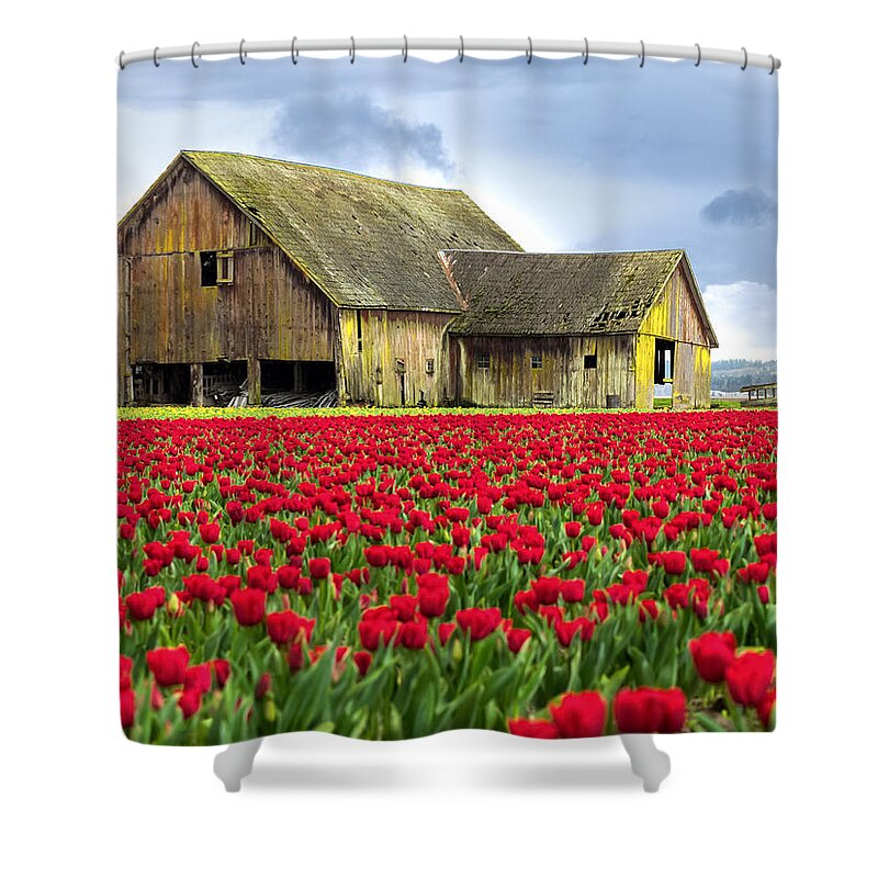 Red Shower Curtain featuring the photograph Skagit Valley Barn by Kyle Wasielewski