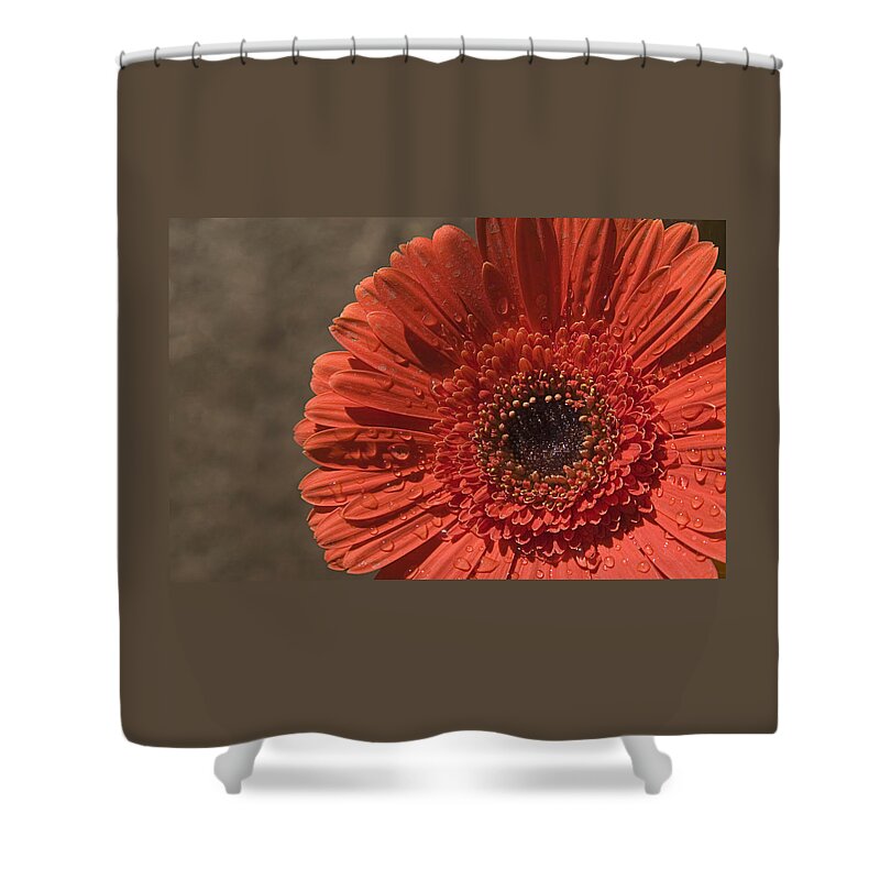 Heart Shower Curtain featuring the photograph SKC 5127 Heart of the Gerbera by Sunil Kapadia