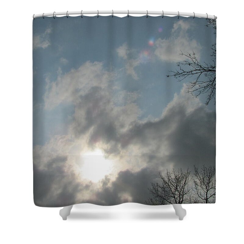 Tree Shower Curtain featuring the photograph Skeleton Trees and Sky 3 by Anita Burgermeister