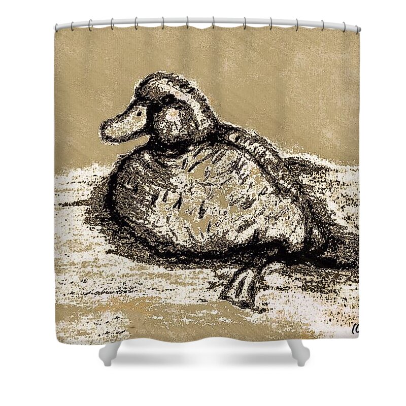 Mix Media Shower Curtain featuring the mixed media Sketch Of Duck In Water by MaryLee Parker