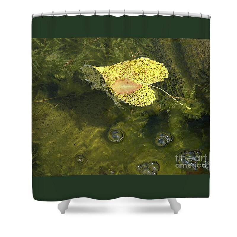 Leaf Shower Curtain featuring the photograph Skimming the Surface by Ann Horn