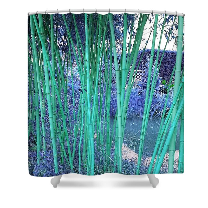 Fantasy Shower Curtain featuring the photograph Skinny Bamboo In Teal by Rowena Tutty