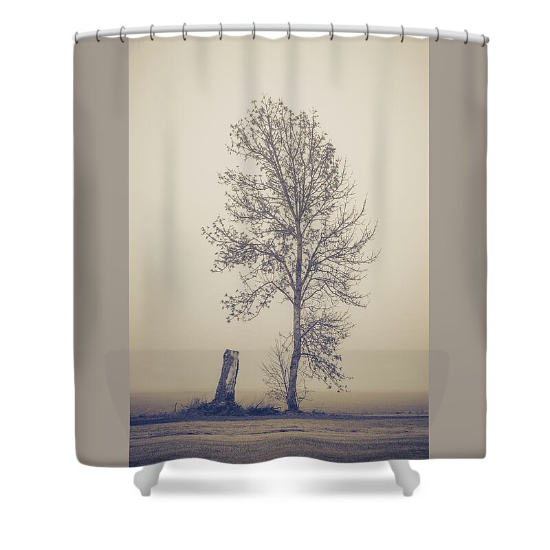 Tree Shower Curtain featuring the photograph Skinny Tree by Catherine Avilez