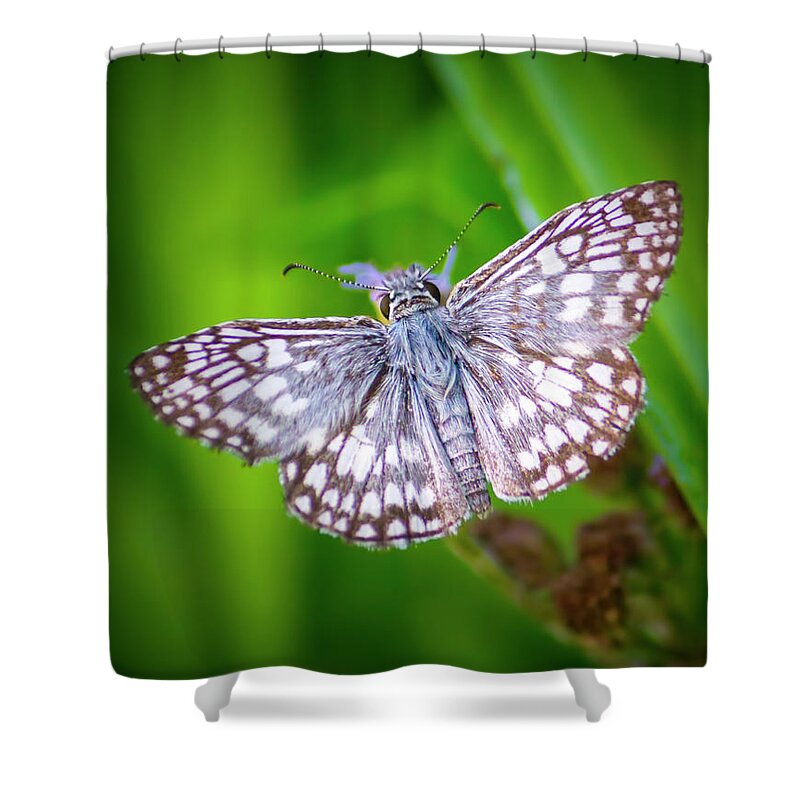 Butterfly Shower Curtain featuring the photograph Skipper Butterfly by Mark Andrew Thomas