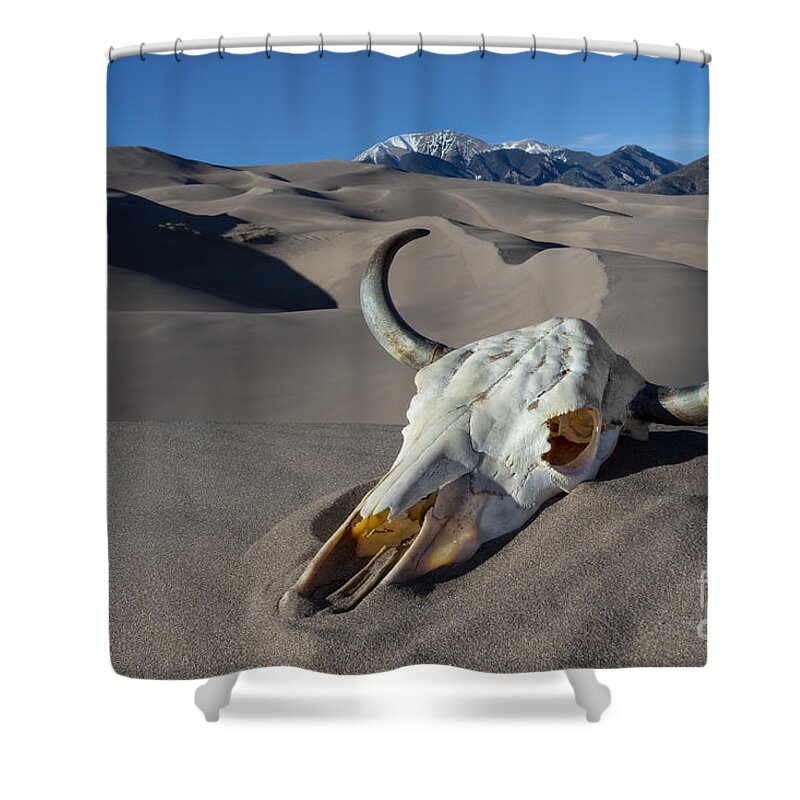 Great Sand Dunes National Park Shower Curtain featuring the photograph Skull at the Great Sand Dunes by Jerry Fornarotto