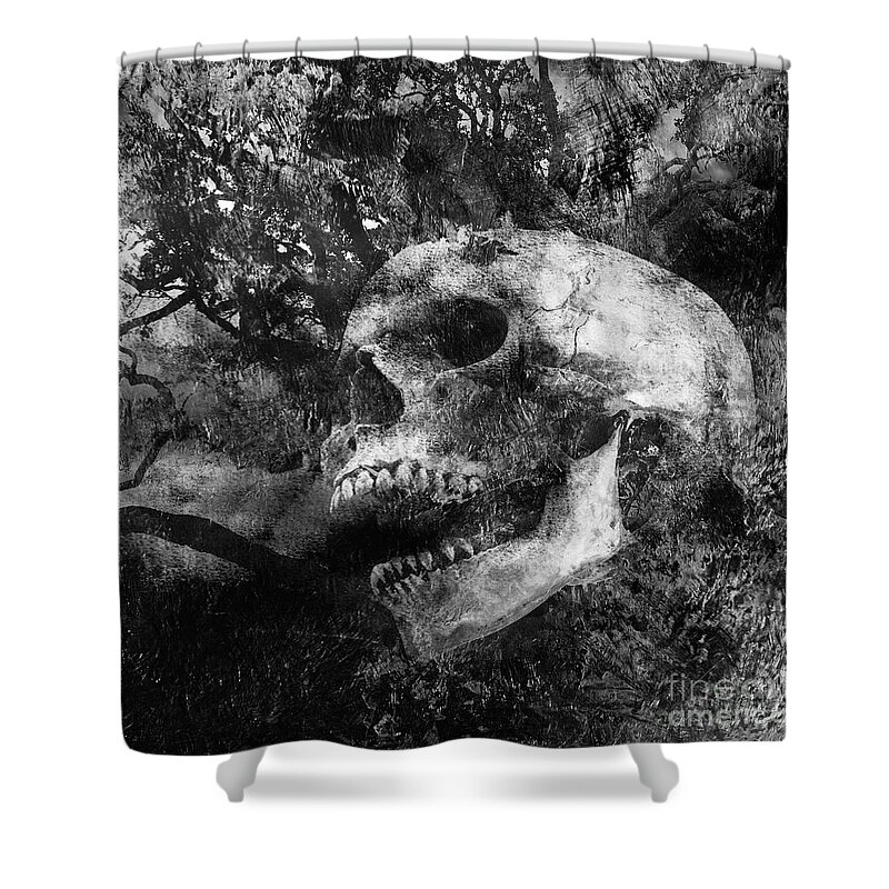 Scary Decaying Skull Polyester Fabric Shower Curtain Set Bathroom Mat w/ Hooks