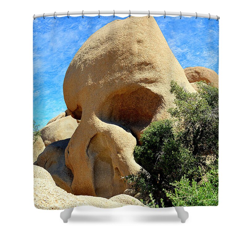 Skull Rock Shower Curtain featuring the photograph Skull Rock 2 - Joshua Tree National Park by Glenn McCarthy Art and Photography
