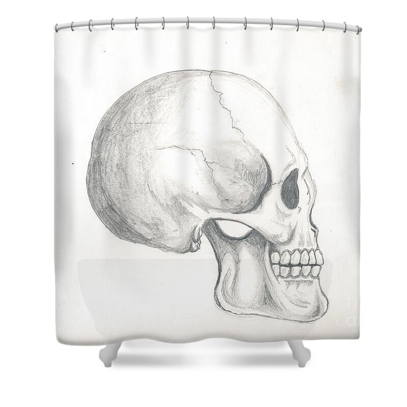 Pencil Shower Curtain featuring the drawing Skull Study by Reed Novotny
