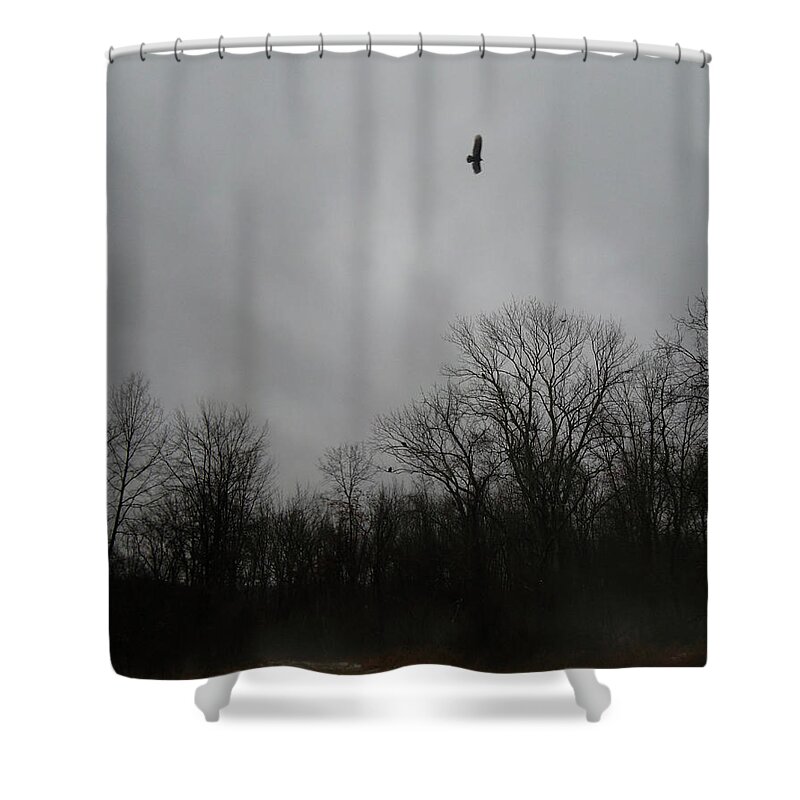 Bird Shower Curtain featuring the digital art Skybird by Susan Esbensen