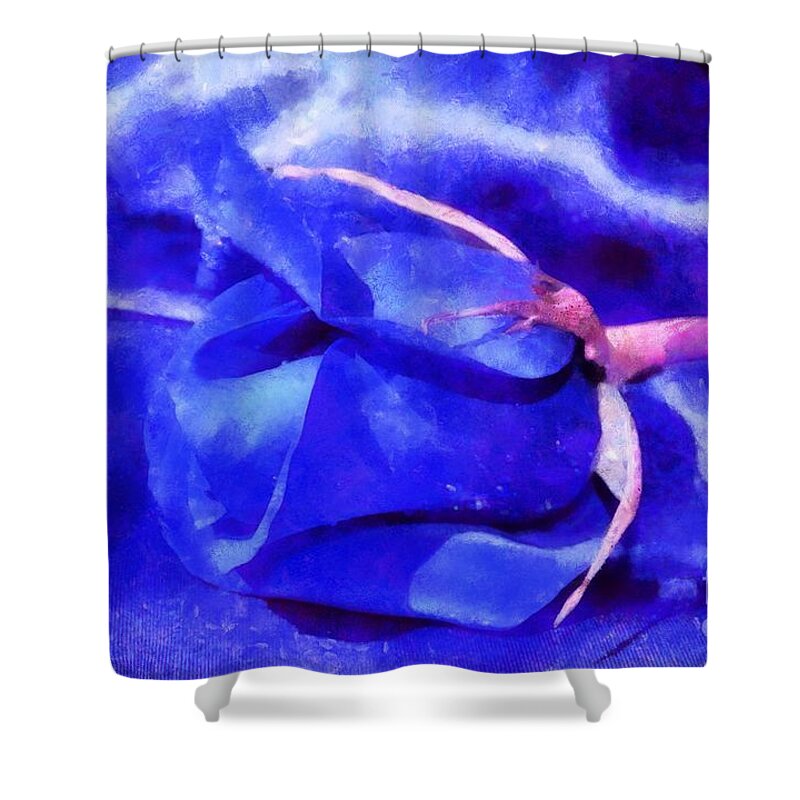 Rose Shower Curtain featuring the photograph Sleeping Beauty by Krissy Katsimbras