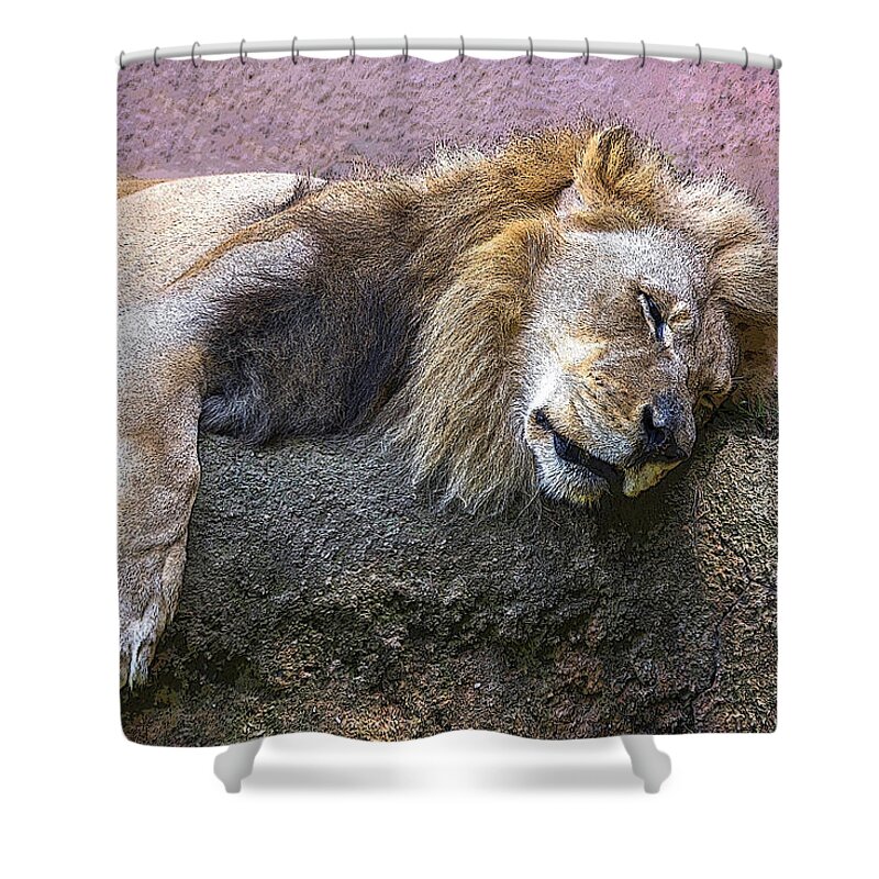 Lion Shower Curtain featuring the photograph Sleeping Lion by Roslyn Wilkins