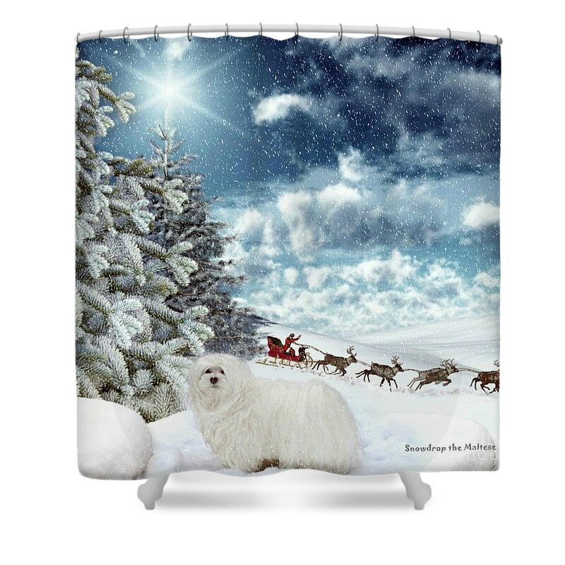 maltese Dog Christmas Shower Curtain featuring the mixed media Sleigh Bells Ringing by Morag Bates